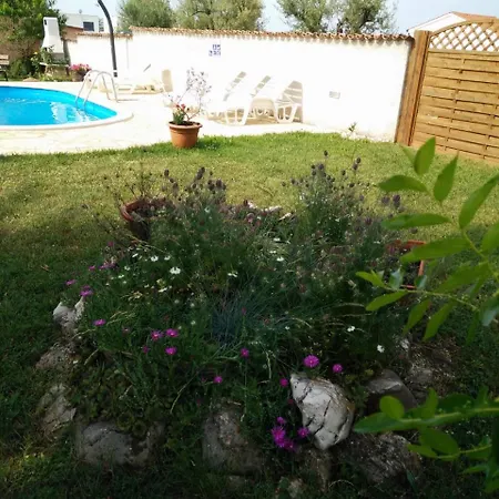 Pleasant Angelina With Private Pool Kaštelir